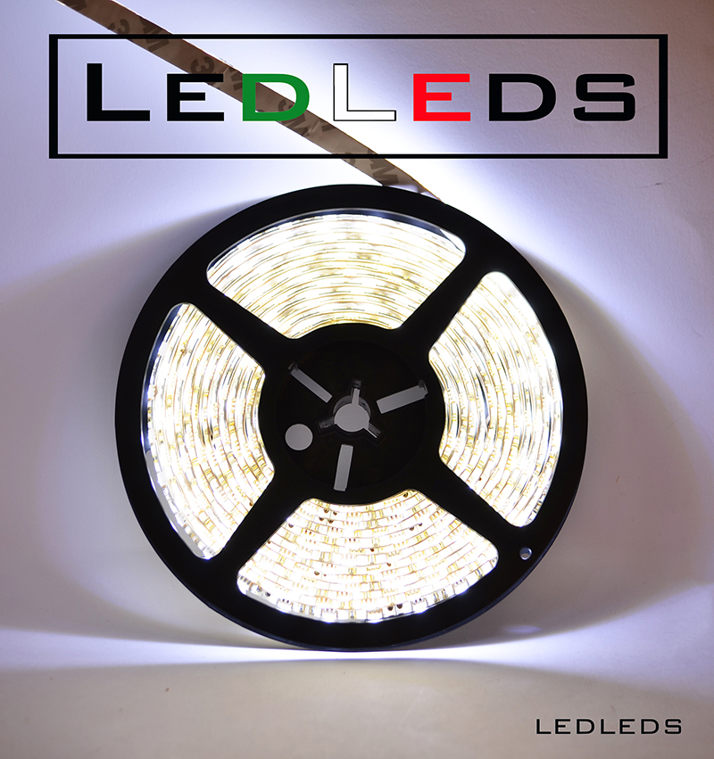 BOBINA STRIP LED BIANCA FREDDA SMD 5050 300 LED 5 METRI STRIP IMPERMEABILE IP67