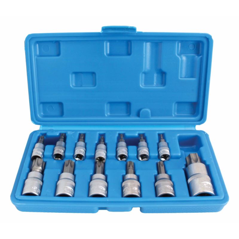 Set chiavi a bussola 13 pezzi Torx T10 T15 T20 T25 T27 T30 T40 T45 T50 T55