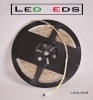 300 LED 3528 STRIP STRISCIA 5 m 12V BIANCO impermeabile luce fedda barca gommone