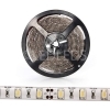 BOBINA STRISCIA 300 LED 5630 5 METRI 5M 12V LUCE  CALDA BIANCO CASA STRIP IP65