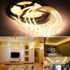 BOBINA STRISCIA 300 LED 5630 5 METRI 5M 12V LUCE  CALDA BIANCO CASA STRIP IP65