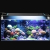 LAMPADA PLAFONIERA 30CM 42 LED 30-40CM ACQUARIO LUCE BIANCA BLU PESCI PIANTE
