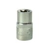 SET 9 BUSSOLE TORX FEMMINA 1/2 E4 E5 E6 E7 E8 E10 E12 E14 E16 1/4 1/2