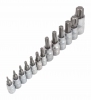 Set chiavi a bussola 13 pezzi Torx T10 T15 T20 T25 T27 T30 T40 T45 T50 T55 CR-V