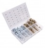 Set Rivetti filettati dado filettato Alluminio Acciaio 300 PZ M3 M4 M5 M6 M8 M10