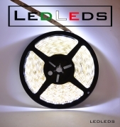 300 LED STRIP STRISCIA 5 m 12V BIANCO ALIMENTATORE luce fedda casa neon ip65