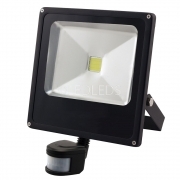 FARO LED 30W SENSORE DI MOVIMENTO ESTERNO CREPUSCOLARE LUCE BIANCA PROIETTORE