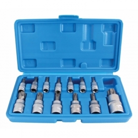 Set chiavi a bussola 13 pezzi Torx